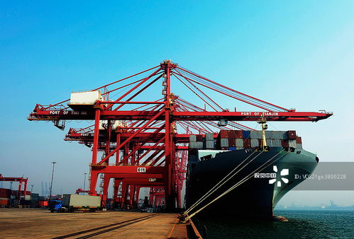 海空自貿(mào)海外倉(cāng) 攝影圖片中的跨境電商新基建