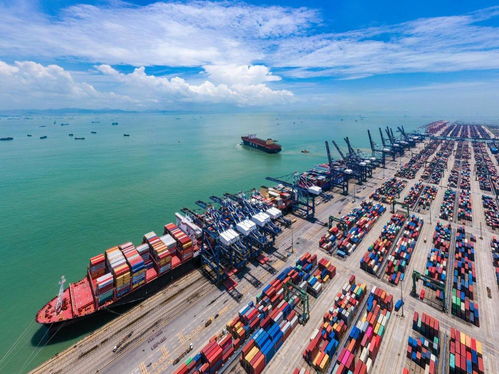 自貿區港制度創新三部曲 外商投資、海關簡政、海外倉重構全球貿易新版圖